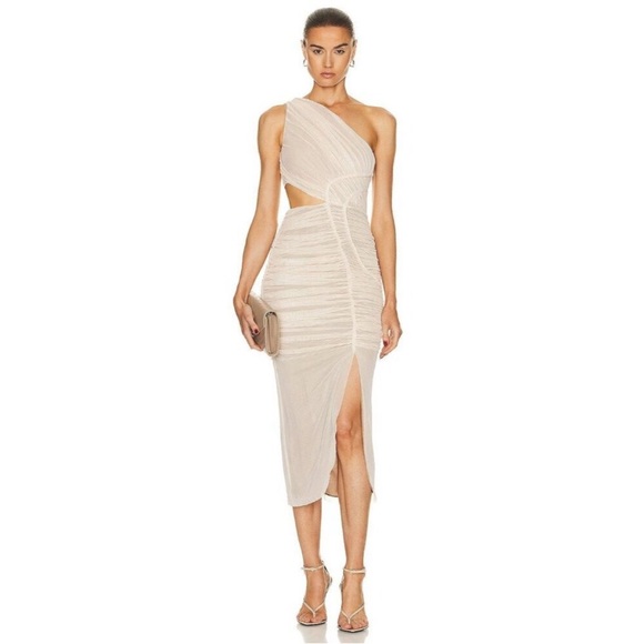 RARE SIMKHAI Seraiah Gathered Midi Dress in Thorn Midi Dress - Picture 15 of 15